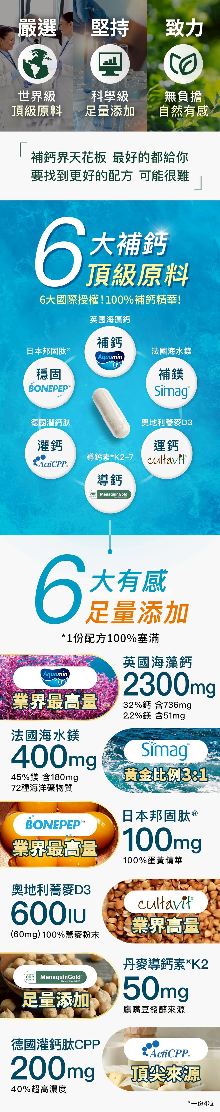 補鈣小教室